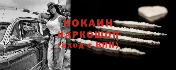 бошки Богданович