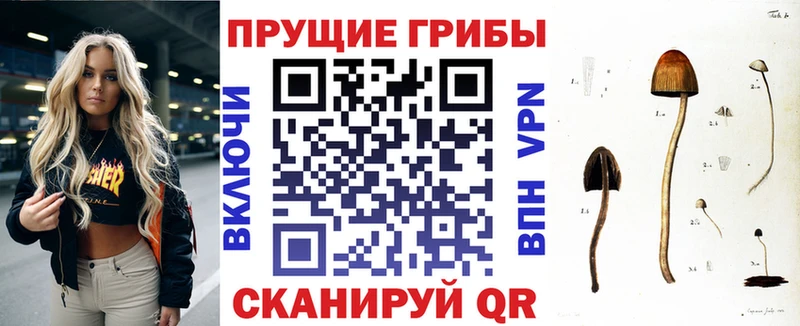 Псилоцибиновые грибы Psilocybine cubensis  кракен ONION  Волоколамск 